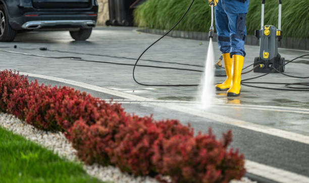Solar Panel Cleaning in Indian Hills, TX